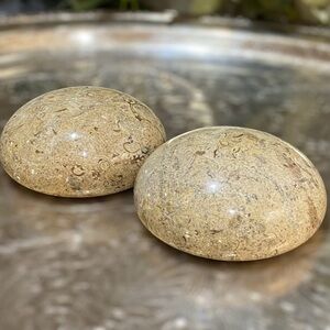 Vintage Natural Stone Paperweights Round Fossil Shell Set Of 2 Pier 1 Polished